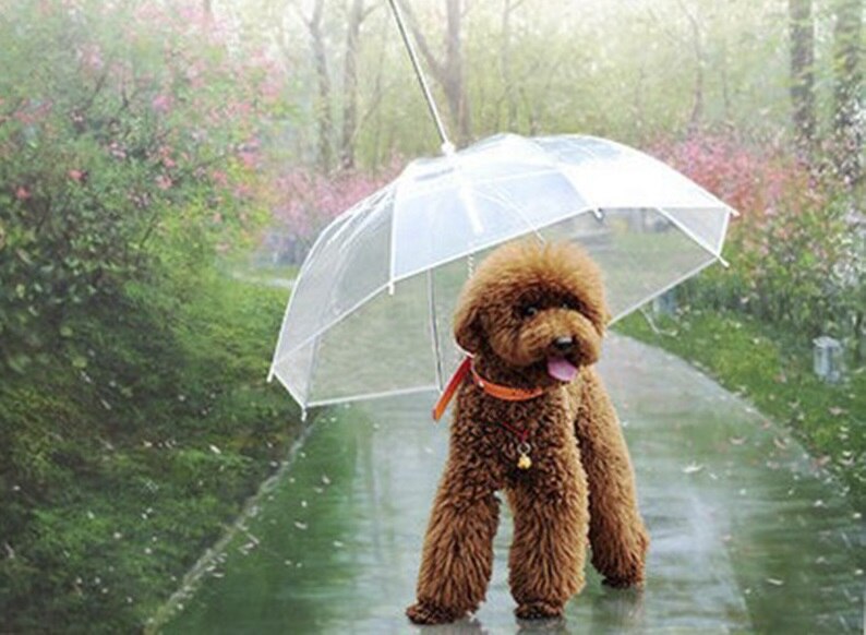 Yesello Useful Transparent Pet Umbrella pet Dog Umbrella Rain Gear with Dog Leads Keeps Pets Dry Comfortable in Rain