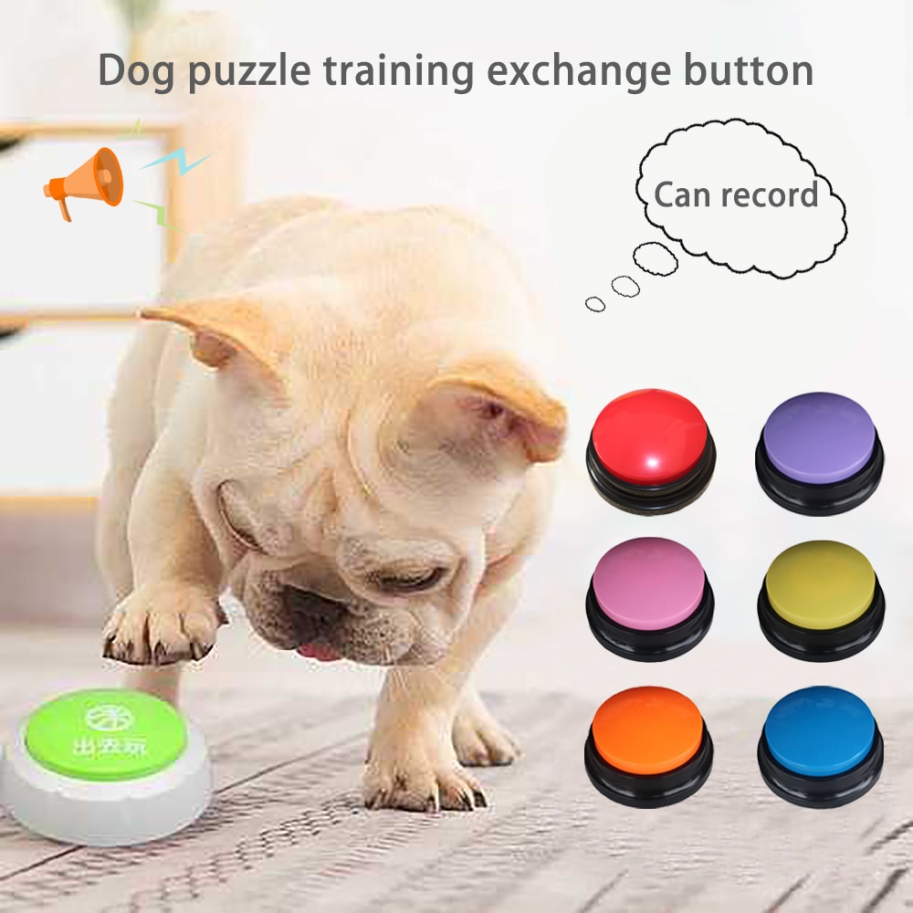 Connerie buzzer buzzer jeu ring for sex boutons de conversation Fabricant de boutons sonores pour chiens, machine à sandwichs pour enfants, bouilloire, jouet, café, événement, fête, fournitures festives, maison, jardin