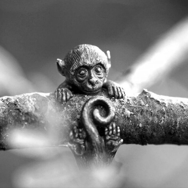 Frosch Kröte Ebene Ringe für Frauen Männer Künstlerisches retro Öffnung Resizable unisex Weibliche Erklärung Ringe Silber Farbe: Freier Raum