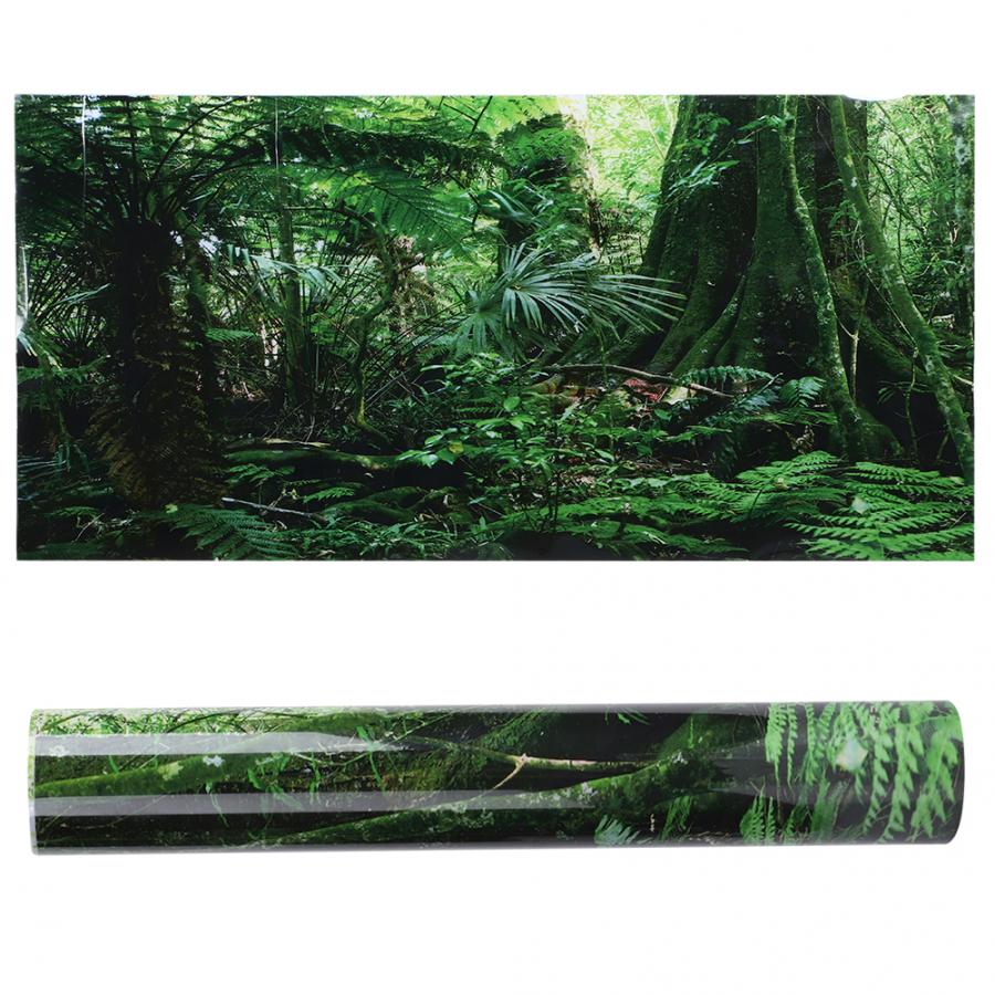1Pcs PVC Reptile Box Rainforest Background Poster Fish Tank Wall Picture Painting Decoration Self Adhesive Sticker: XXL