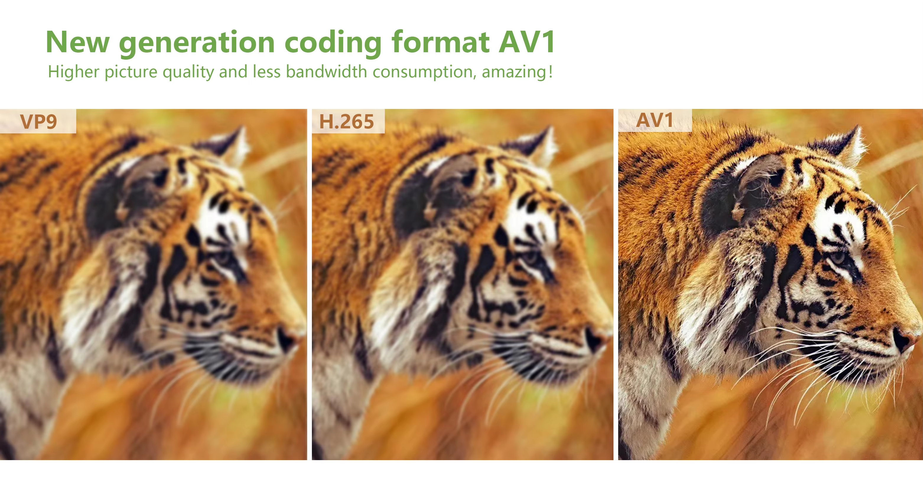 Original Tanix W2 Android 11 TV Box Amlogic S905W2 2G/16G AV1 BT TV BOX Dual Wifi 4G&5G 4K HD Set Top Box 4G/64G Media Player