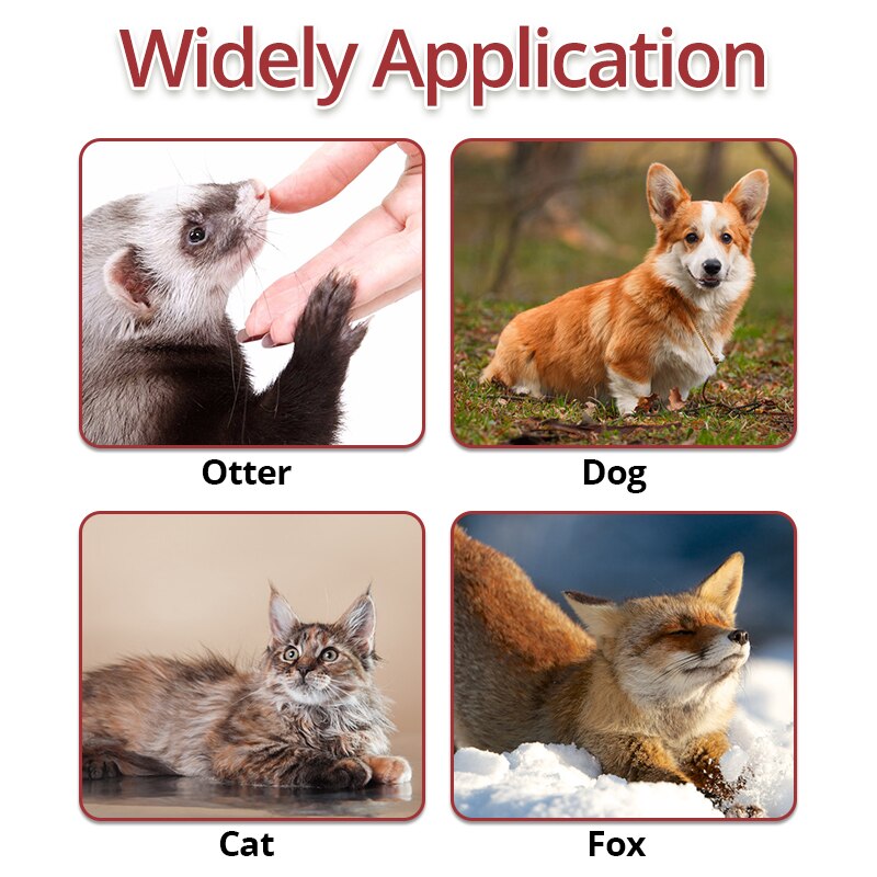 Fish Kitty Kick Stick Cat Kick Toy Cat Chew Toy Kitten Teething Toys Interactive Cat Catnip Toys for Cat