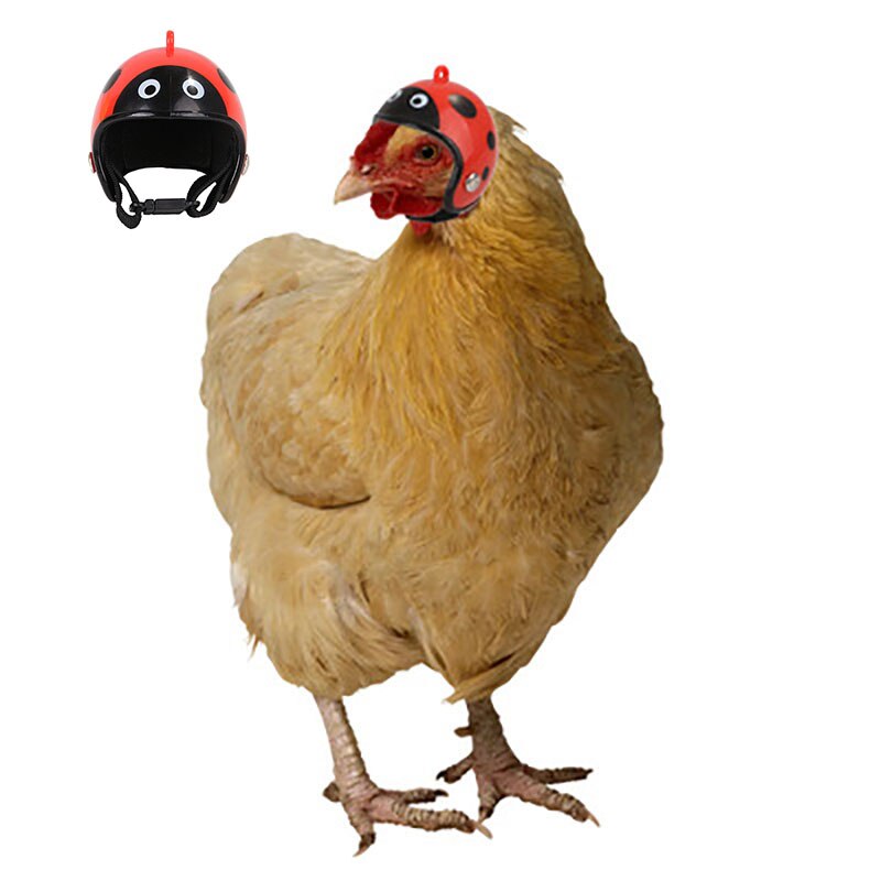 Adjustable Poultry Head Protective Duck Safety Small Pet Smash Proof Headgear Helmet Chicken Hat Accessories Cute Hard Shell
