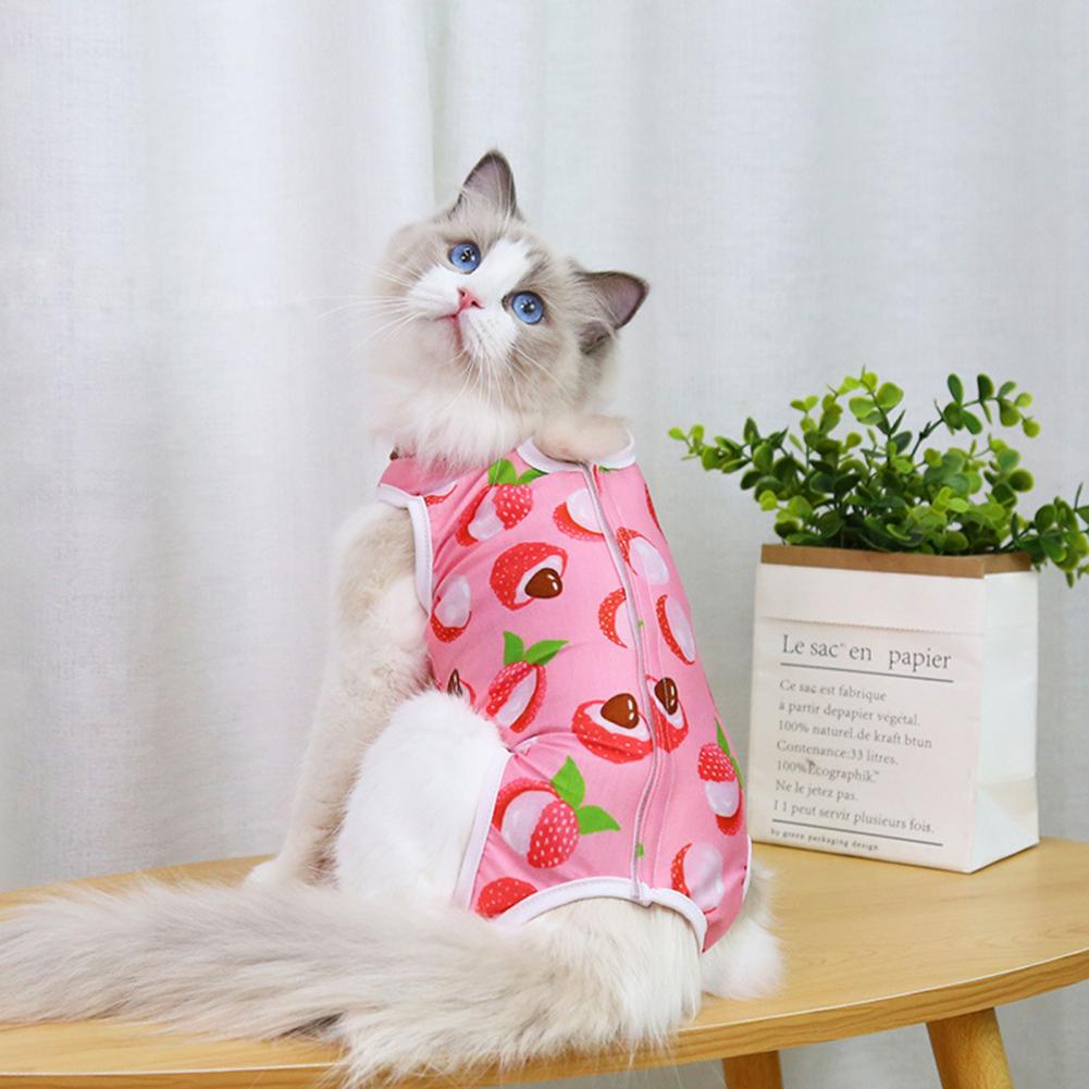 Weiche Kätzchen Bodysuit Katze Entwöhnung Anzug Druck vier-auf Beinen Anti Lecken Postpartale Tuch Nach der Betrieb Erholung Anzug für Haustier