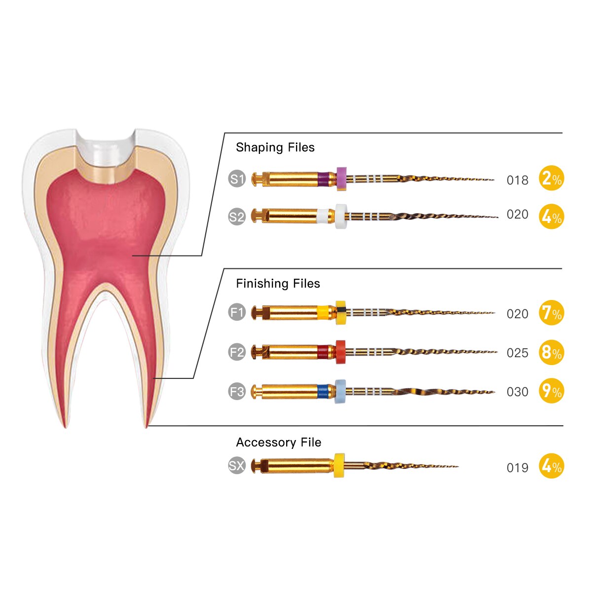 3 Packs / Lot Dental Endodontische Goud Taper Niti Roterende Bestanden Motor Gebruik Uitbreiding 25Mm, SX-F3