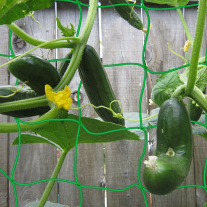 mesh klatrestativ nett hage trellisr nett loofah netting til morgen ære vintre blomster planter nett agurk vinstokk vokse holder