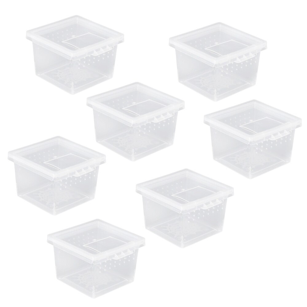 10pcs Practical Insect Feeding Box Reptile Breeding Box Convenient Creeper House: Default Title