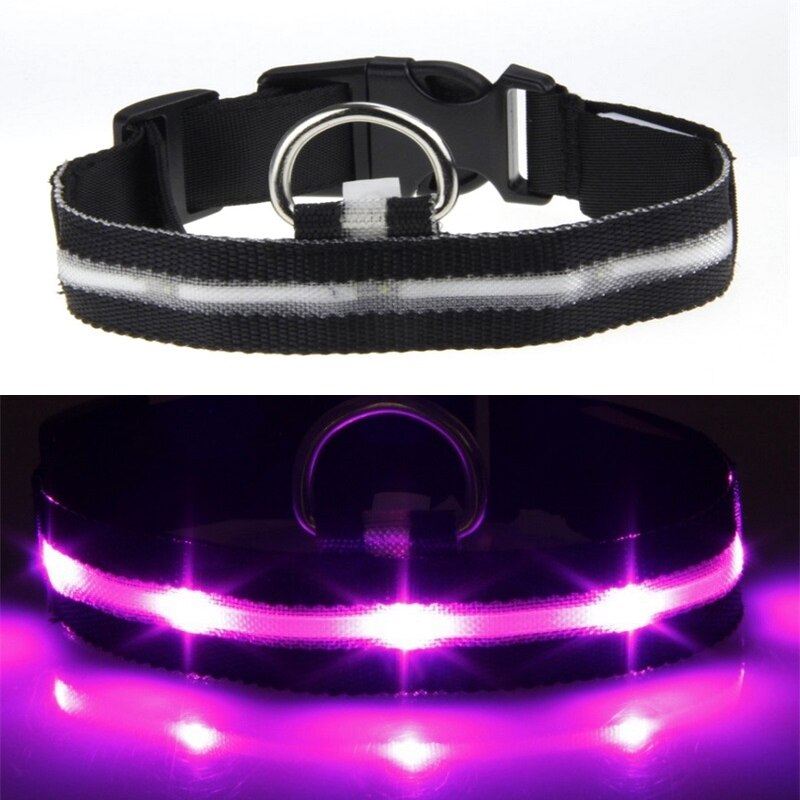 Hunde halsbånd kæledyr hund glødende halsbånd usb genopladeligt blinkende nat katte halsbånd bamse lysende led lys kæledyr halsbånd snor: Lysegrå / S