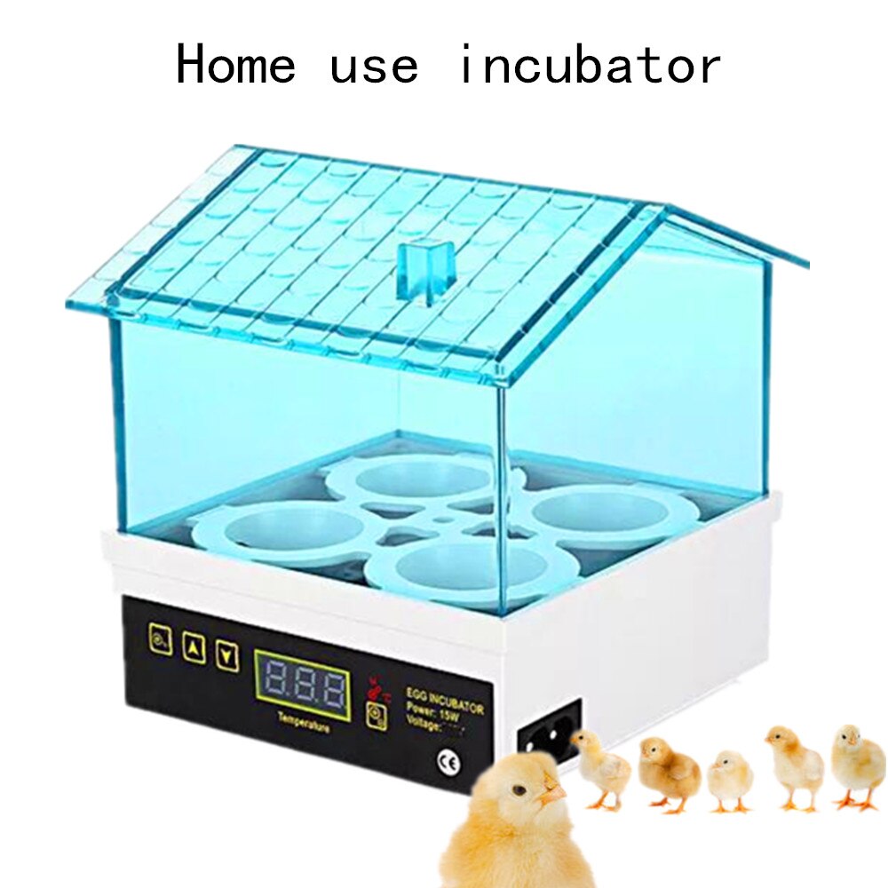 Onderwijs Ei Incubator Automatische Voor Uitkomen 4 Stuks Kip Eieren