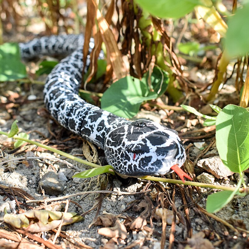 RC Remote Control Snake And Egg Rattlesnake Animal Trick Terrifying Mischief Toys for Children Funny Novelty Christmas