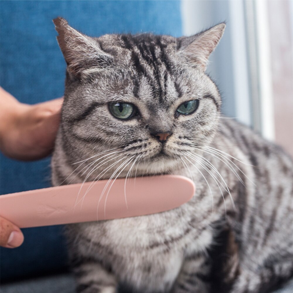 Pet Car Daily Hair Care Tools Simulation Massage Comb Comb Brush Portable Pet Daily Hair Cleaning Care Tool Dog Cat Products