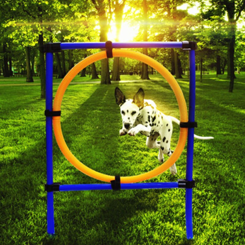 Hond Agility Training Apparatuur, Hond Agility Ring Hond Hindernisbaan Agility Set