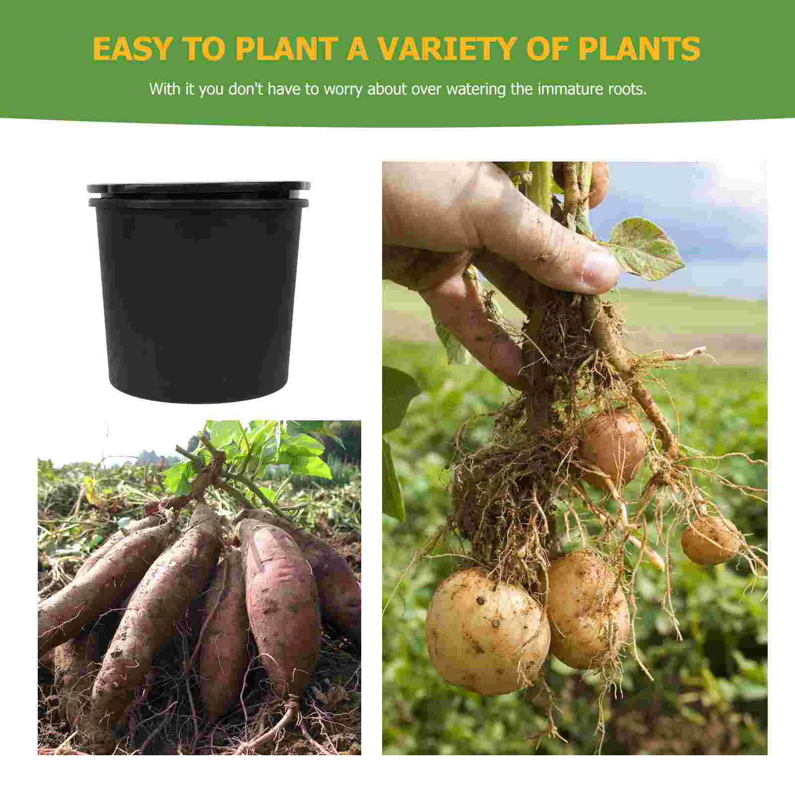 Aardappel Groeien Emmer Praktische Aardappel Groeiende Pot Aardappel Planten Doos