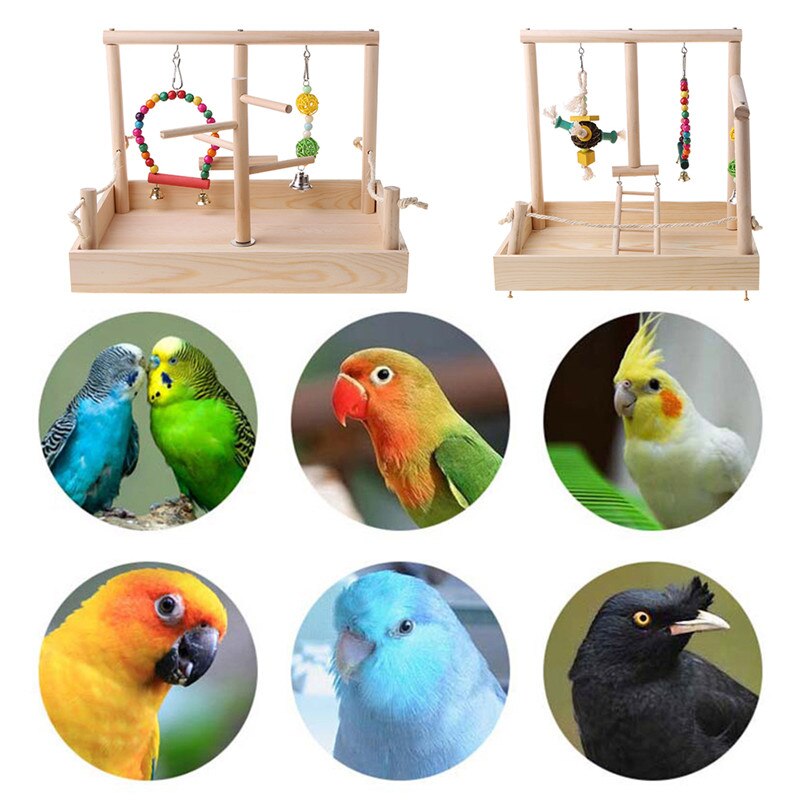 Bird Parrot Swing Climbing Ladder Desktop Stand To... – Grandado