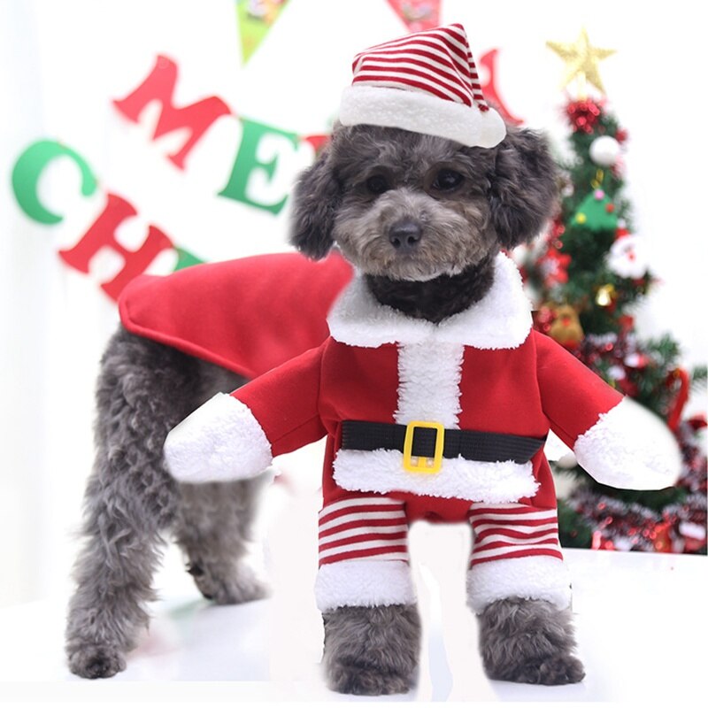 Jultomte kläder för stora hundar valp juldräkt labrador retriever kläder fransk bulldogg hatt dekorationer år