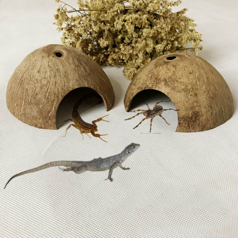 Reptil ocultar Cueva de coco Natural lagartija araña tortuga Camarón casa acuario pecera decoración DIN889
