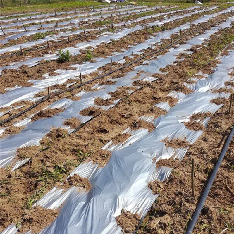 Multímetro de plástico negro y plateado para agricultura, 0,02mm de ancho, 1M, para invernadero, Control orgánico del calor, película de tierra, novedad
