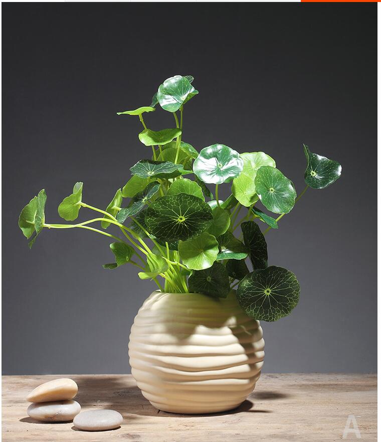Levering Dekorativ Potte Levende Gron Plante main image 1