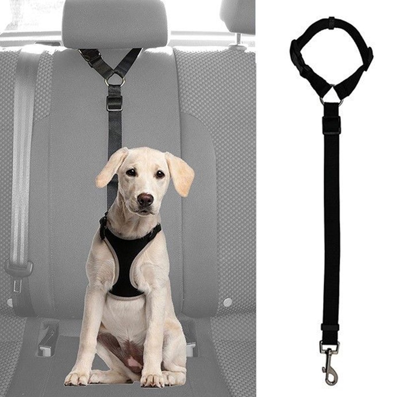 Dog Cat Pet Safety Adjustable Car Seat Belt Harnes... – Grandado