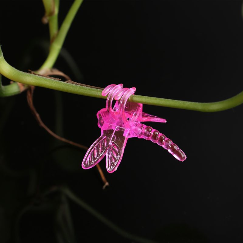 30 Stuks Dragonfly Orchidee Clips Orchidee Grower Ondersteuning Leuke Tuin Plant Bloem Wijnstok Ondersteuning Clips