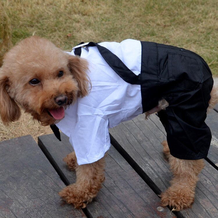 Dog Wedding Suit Boy Dog Clothes Male Dog Clothing Jumpsuit Bowtie Tuxedo Yorkie Poodle Bichon Pomeranian Schnauzer Costume Coat