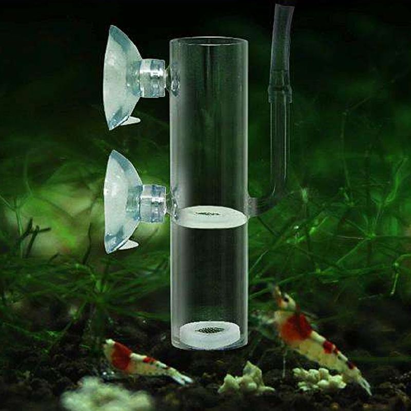 Akvarieæg inkubator klæk krystal rejer ægklækker akvarium transparent glas akvarieforsyning  c42
