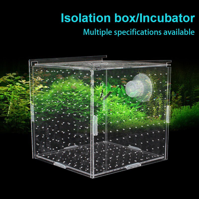 Caja transparente para acuario, bandeja pequeña para pecera, caja de producción, aislamiento de rejilla múltiple simple y doble