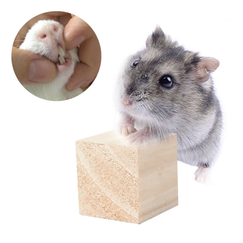 Brinquedo de peças de blocos de madeira para hamster, rato guiné rato ouriço, exercício b95b
