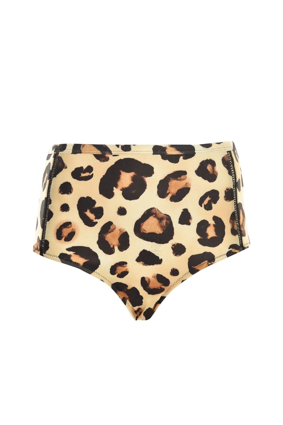 Leopard Print High Waist Bikini Swimsuit