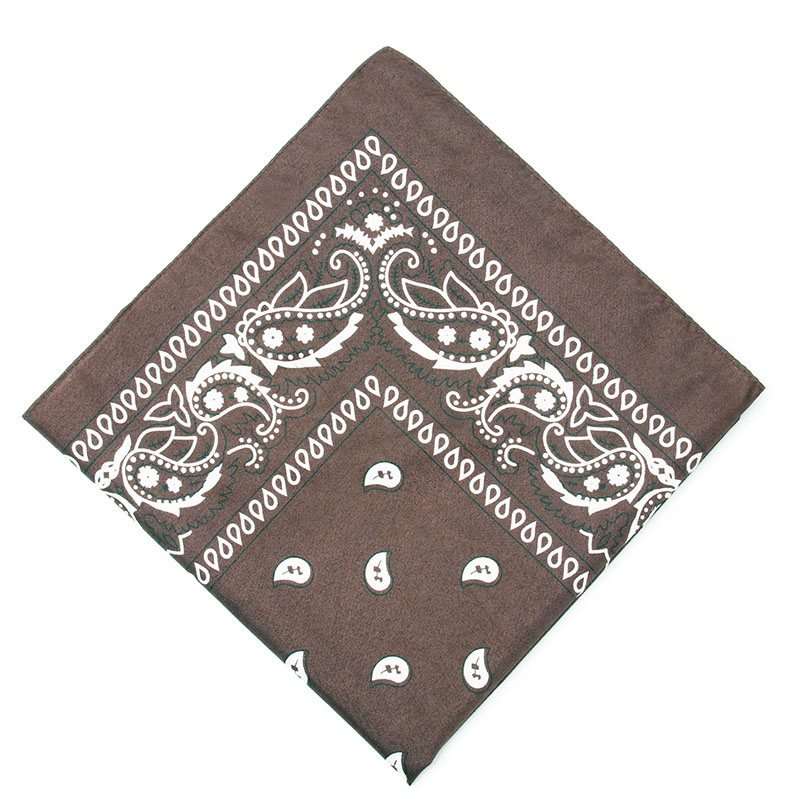 Unisex Mannen Vrouwen Bandana Haarband Cowboy Heren Biker Sport Hoofddeksels Pols Hairwrap Paisley Hoofd Wrap Vierkante Sjaal: green