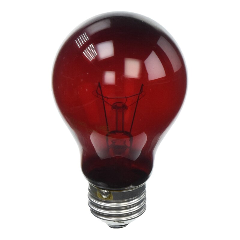 220-240V 25/50/75/100W Incandescent Bulb Night Red Heat Impact Resistant Safe UVA Night Light Daytime Lamp Bulb PT-25220RERIN