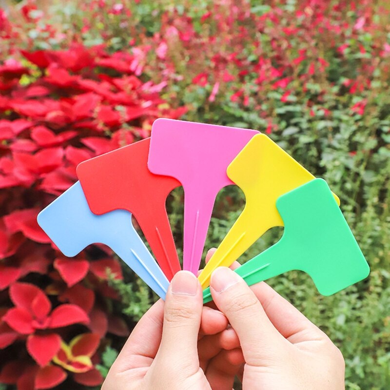 100pcs etichette per piante da giardino etichette per insegne in plastica marcatori per vivai vasi da fiori semi erbe in vaso etichette marchio di classificazione