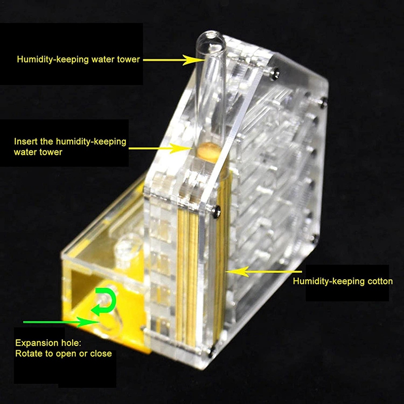 Ant Nest Ant Farm Acrylic Farm Insect Cage Display Space For Ant Feeding, Ant Feeding Farm House Ants Moisturizing Den