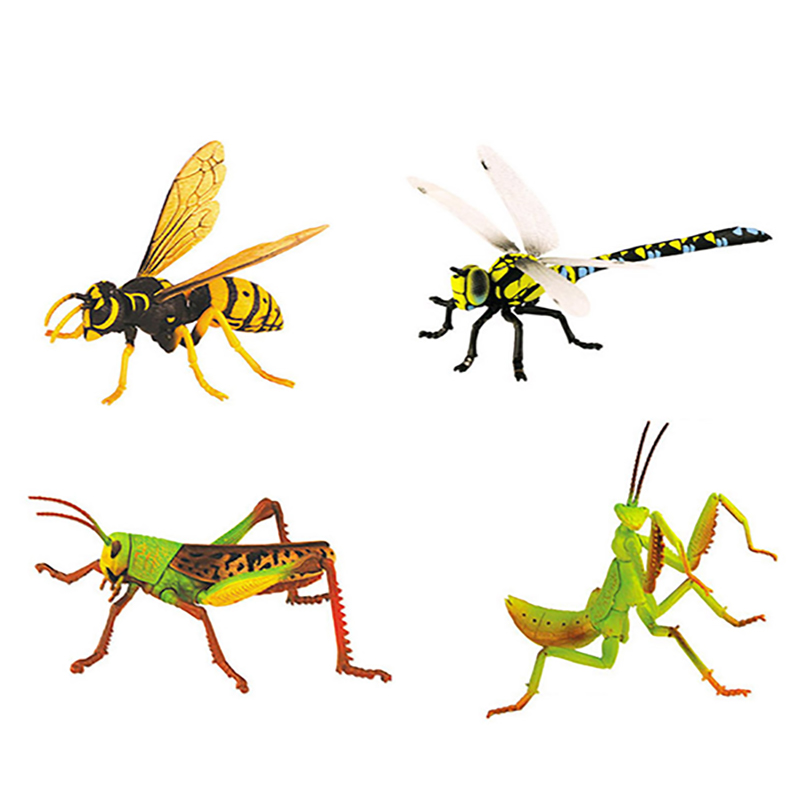4 stuks Dier Insect Puzzel Educatief Wetenschap Speelgoed voor Kids-24 soorten Insecten: 5966-4H