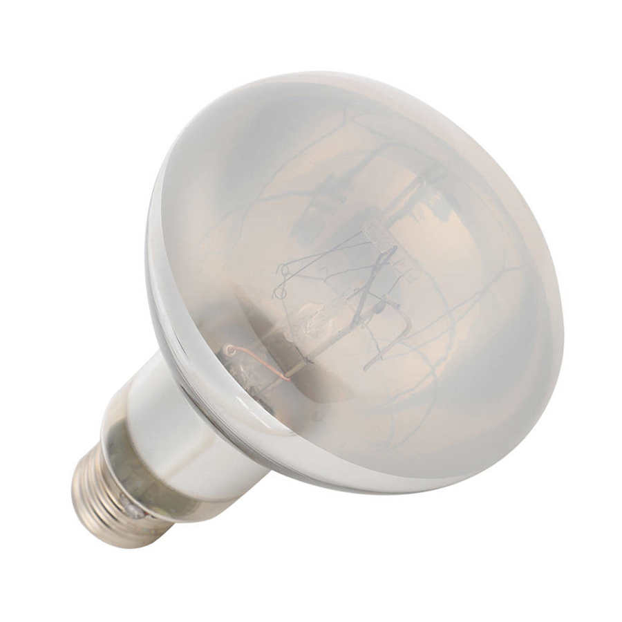 Reptielen warmtelamp reptielen warmtelamp reptielenlamp huisdieren voor schildpadden reptielen