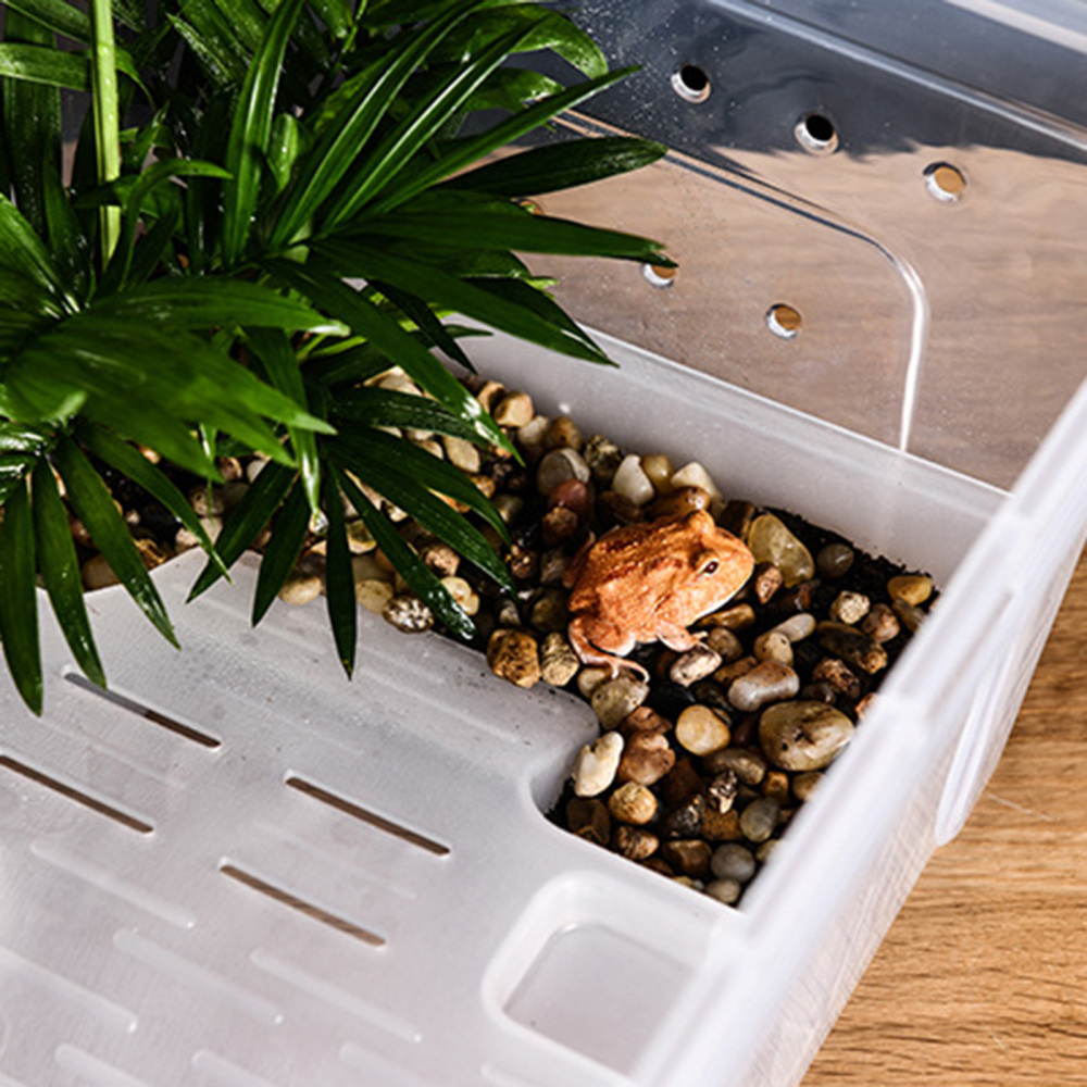 Reptile Breeding Box Acrylic Insect Terrarium Salamander Breathable Amphibious Horned Frog Transparent Animal Habitat Cage