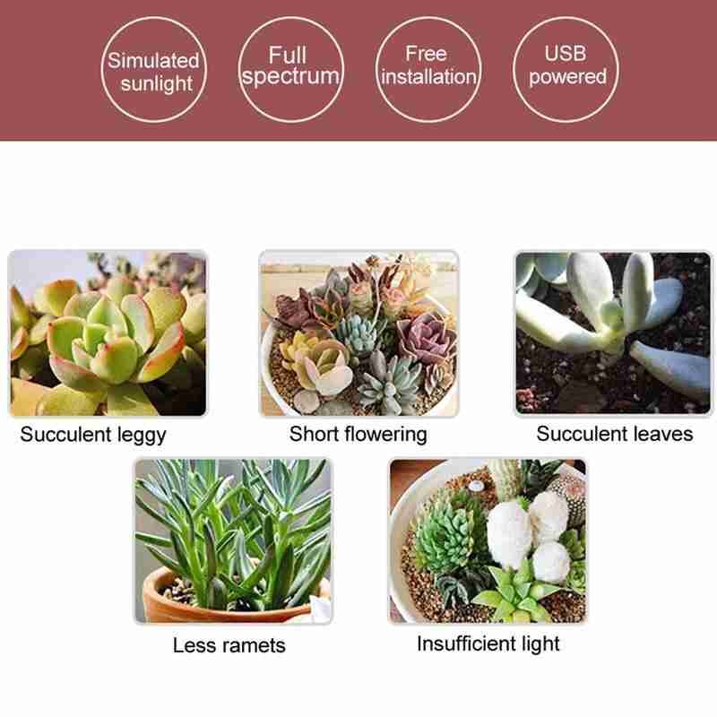 Led Grow Light Volledige Spectrum Phyto Groeien Lamp Usb Phytolamp Voor Planten Voor Planten Lamp 5V Voor Binnenverlichting plantengroei S3F5