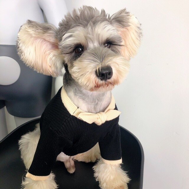 Dog Sweater Bowknot Plain Knit Sweater Cute Small and Medium-sized Dog Schnauzer Teddy Hiromi Cat Fall and Winter Clothing