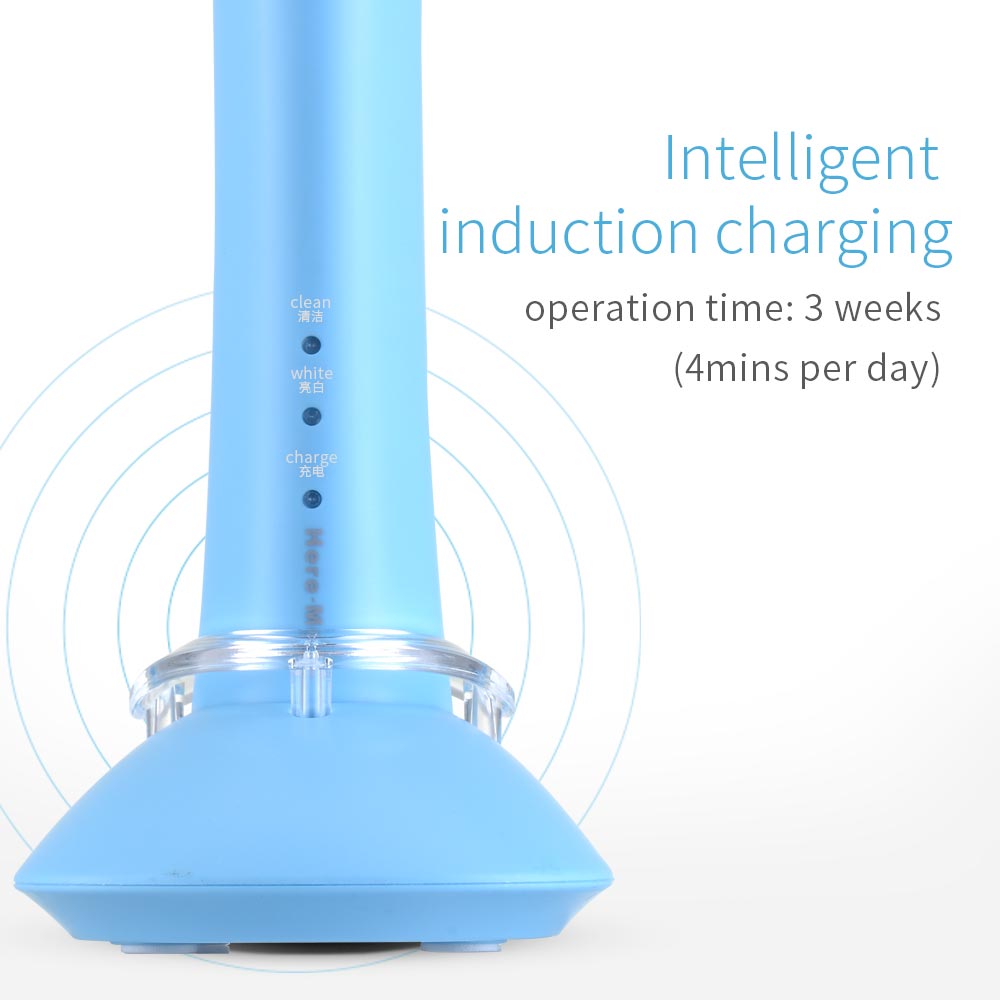 Hier mega roterende elektrische tandenborstel usb oplaadbare tandenborstelkoppen voor volwassenen vervangingen whitening smart waterdicht