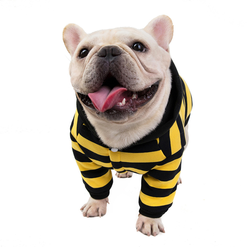 Franse Bulldog Hond Kleding Warme Katoen Hond Hoodies Puppy Streep Jas Kleine Medium Twee-Legged Herfst Winter Huisdier Kostuum kleding