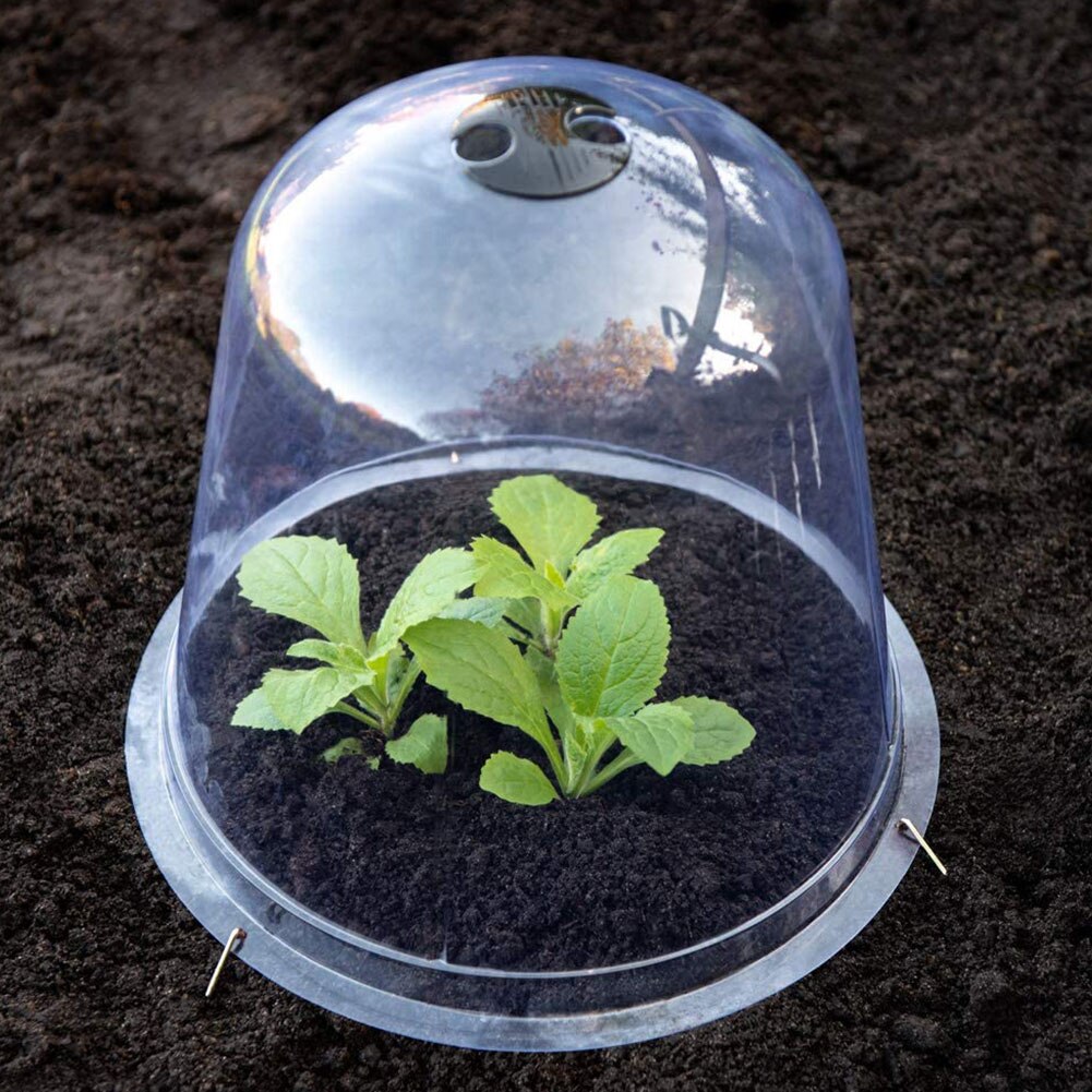 Cloche dôme pour plantes, 4 pièces, Anti-gel, transparente, en plastique, pour serre extérieure, jardin, arrière-cour, Mini housse de protection