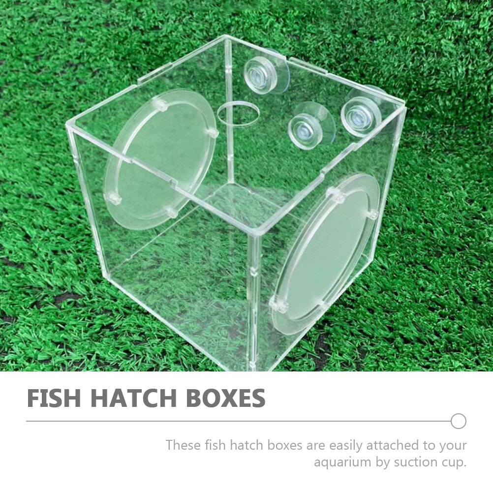 Acrylic Fish Breed Box Fish Egg Breeding Case Fish Isolation Case Aquarium Incubator