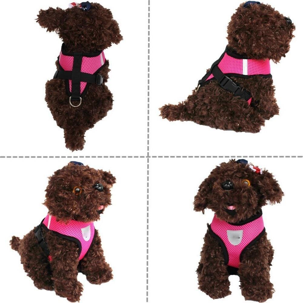 WAGGLE AMSTERDAM - Honden Harnas – Dierenspeciaalzaak & Hondenboetiek Het Vachtje WAGGLE AMSTERDAM - Honden Harnas – Dierenspeciaalzaak & Hondenboetiek Het Vachtje