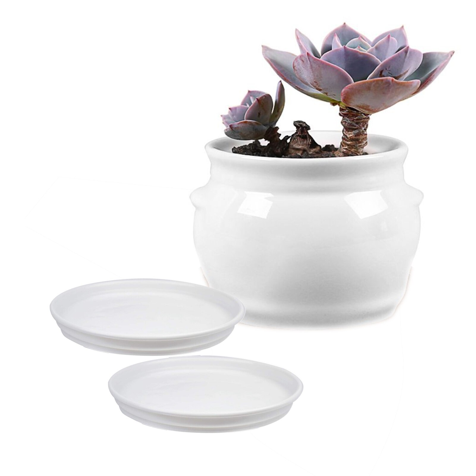 3 stk plante underkop altan havetilbehør rund pp genanvendelig sukkulent vandtæt urtepotte indendørs udendørs container drypbakke