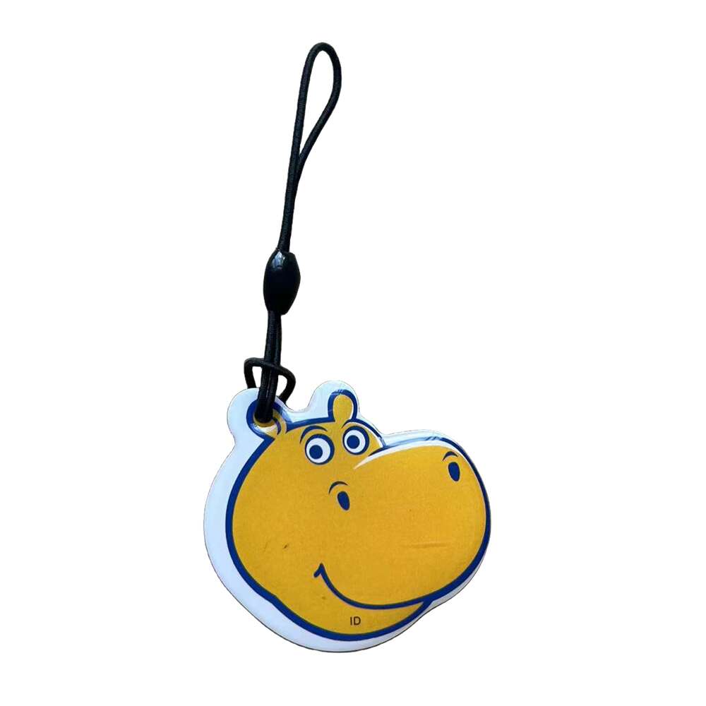 Porte-clés RFID réinscriptible, étiquette RFID, copie d'accès, carte de données vierge, anneau de jeton d'identification, porte-clés, contrôle d'accès ClhbKeychain, 125 tiens z, T5577, EM4305, 1PC