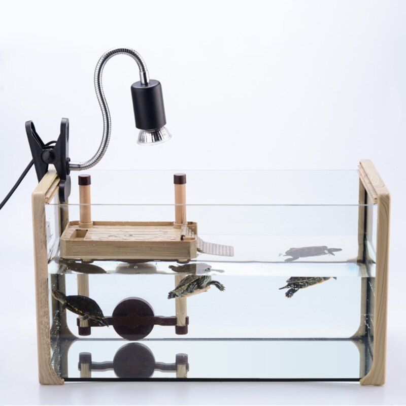 Turtle Pier Floating Basking Reptile Ramp Platform Turtle Terrace Brazilian Tortoise Climbing Island Amphibian Floating Island