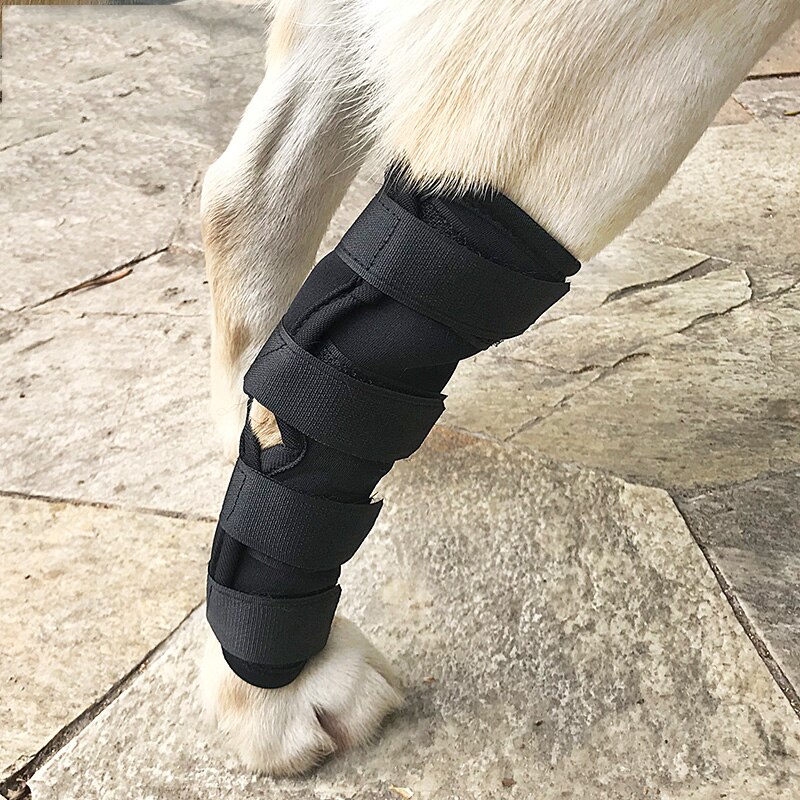 Goedkope hondenaccessoires, hondenpootbandage, geneest en voorkomt verwondingen, ondersteuning van de achterkant van de hond, beschermt wonden, aanbevolen door dierenartsen