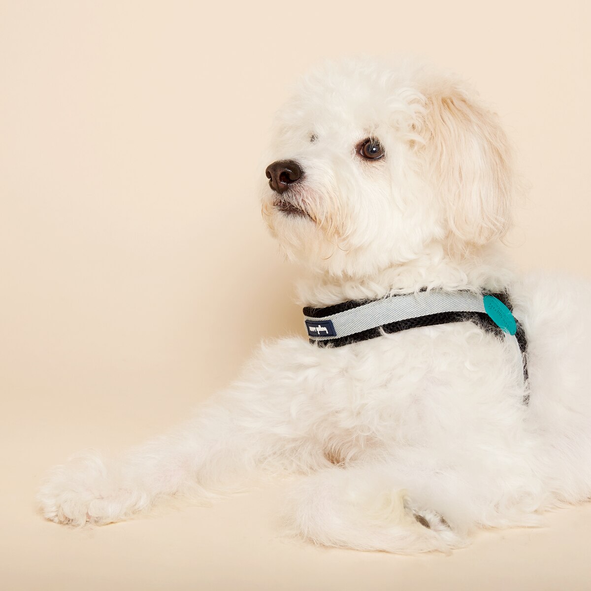 Lightweight Small-large Dog Harness Dog Leads Greyhound Doberman Golden Retriever Dog Leash Vest-style Harness Dog Accessories