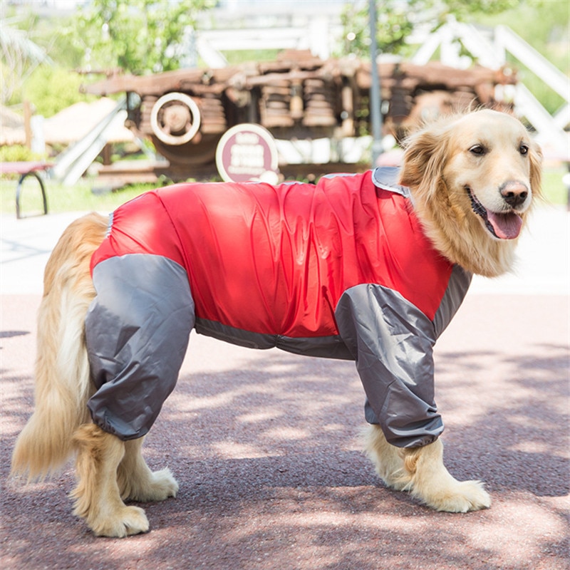 Chubasquero para perro Shiba Inu Samoyed Border Collie Husky Labrador, ropa de recuperación dorada, abrigo impermeable, chaqueta, mono, traje