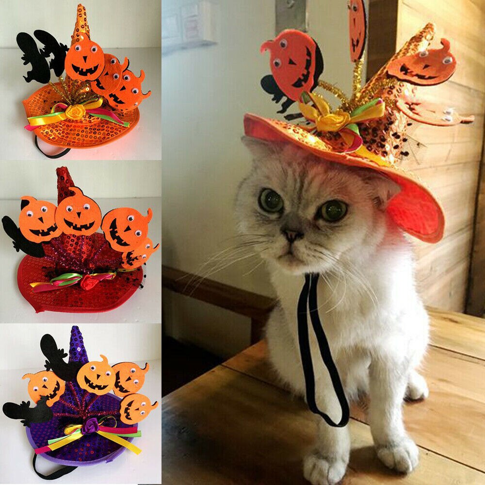 Haustier Halloween Kostümich Spinne Hütte-Hund Katze Hexe Magier Hütte Für Halloween Parteien